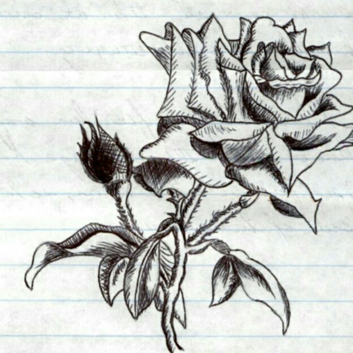 First Rose by Isaac Craven