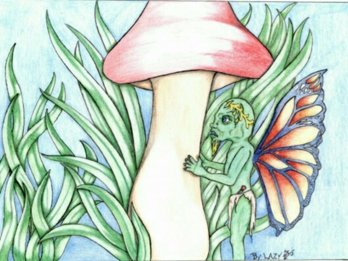 17. The Red Cap