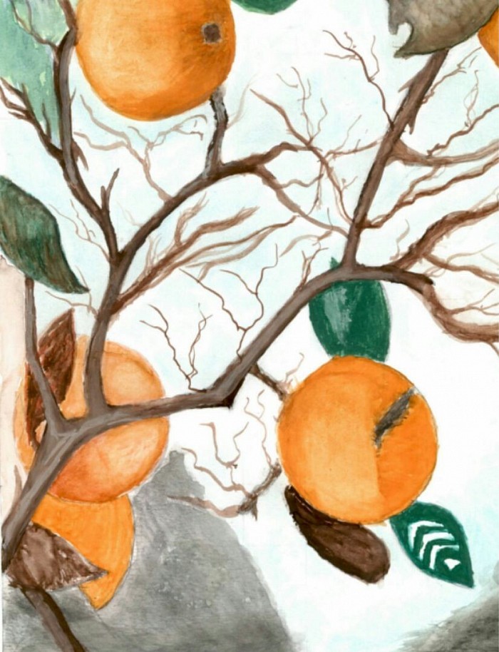 Oranges