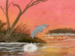 First Dolphin