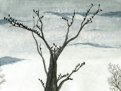 Blackbird Forest
