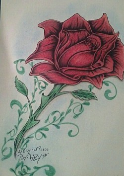031. Lazy Rose