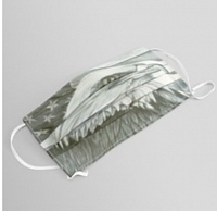 #017 American Eagle