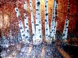 010. White Birch Trees (2007 first painting)